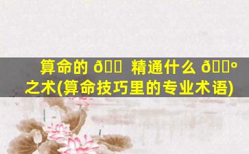 算命的 🐠 精通什么 🐺 之术(算命技巧里的专业术语)